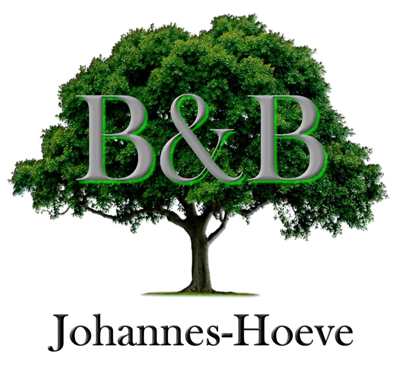 B&B Johannes-Hoeve バールロ エクステリア 写真